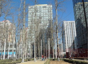 橡樹(shù)公館 北京橡樹(shù)公館配套實(shí)景圖,樣板間,效果圖,戶型圖 北京網(wǎng)易房產(chǎn)