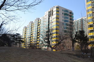 華紡易城租房,2400元 月,急租朝陽大悅城 青年路地鐵口 十里堡附近華紡易城精裝大臥陽臺 北京租房 推推99北京房產網