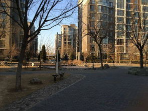 雍景天成精裝大二居出租，月租9800元，花園式小區(qū)品質(zhì)生活